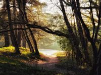 Das Tor zum Neuen, was auch immer es ist...