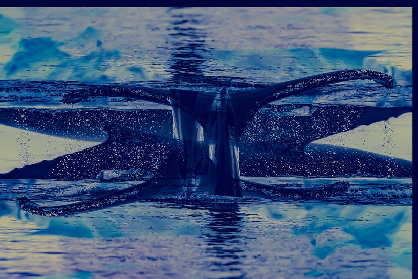 Danse de la queue par Truckpowerr