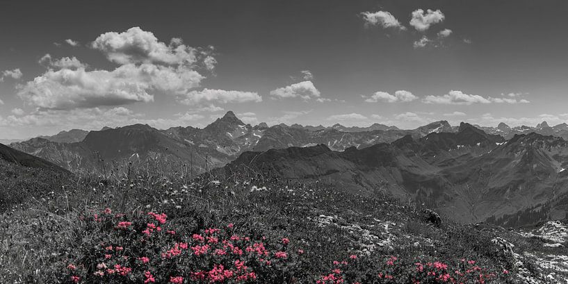 Hochvogel by Walter G. Allgöwer