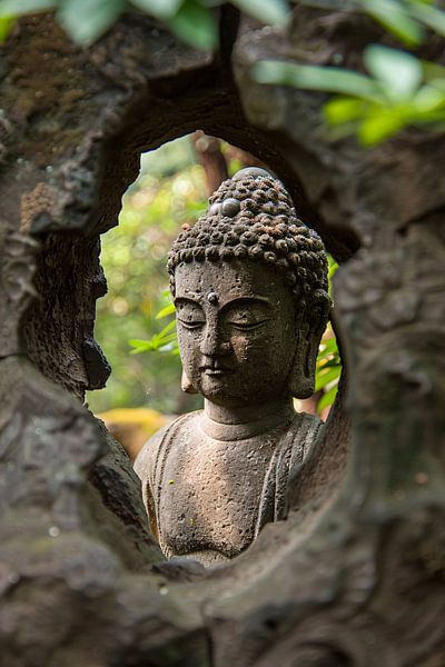 Durchsichtige von Imperial Art House