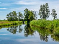 ruhiges Wasser Labor das Wetter Rippen