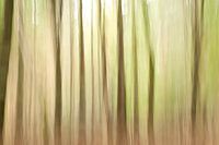 Forêt abstraite - mouvement vertical