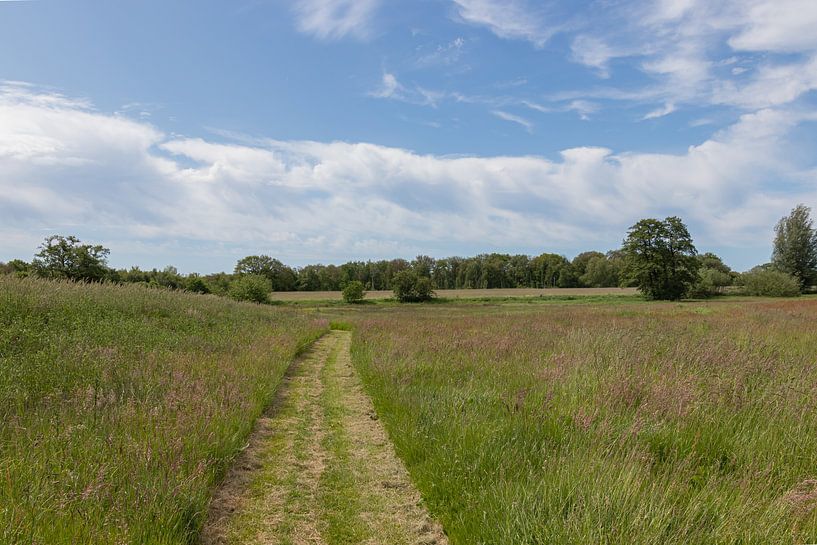 Groningen et Drenthe Veenkoloniën par Johan Mooibroek