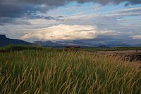 Farm in Icelandic prairie