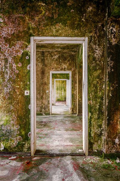 Hierbei handelt es sich um Fotos die einfach nicht zuordnen kann  -  sie sind simpel und einfach von Gentleman of Decay