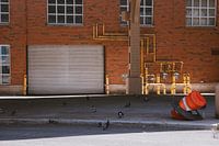 Brooklyn's Rustling Echoes fait référence aux sons et aux souvenirs silencieux, presque chuchotés, qui semblent se répercuter dans les rues de Brooklyn sur l'image. Le mot 