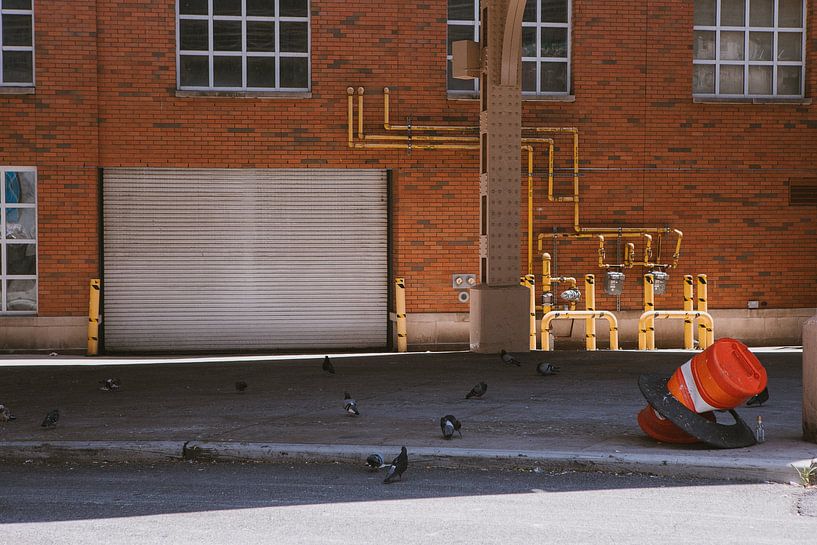 Brooklyn&#039;s Rustling Echoes fait référence aux sons et aux souvenirs silencieux, presque chuchotés, qui semblent se répercuter dans les rues de Brooklyn sur l'image. Le mot "bruissement" évoque l'image de mouvements ou de sons doux et subtils, tels que le battement d'ailes des pigeons ou le souffle du vent dans une rue déserte. Echoes" indique les traces du passé encore présentes dans la zone, telles que les briques rouges emblématiques et les éléments industriels du quartier. Ensemble, ces mots suggèrent l'influence durable de l'histoire et les histoires cachées de Brooklyn, même dans ses moments les plus calmes. par Anouk Sassen