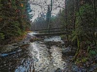 Unter der Fußgängerbrücke fließt der Fluss Bayehon