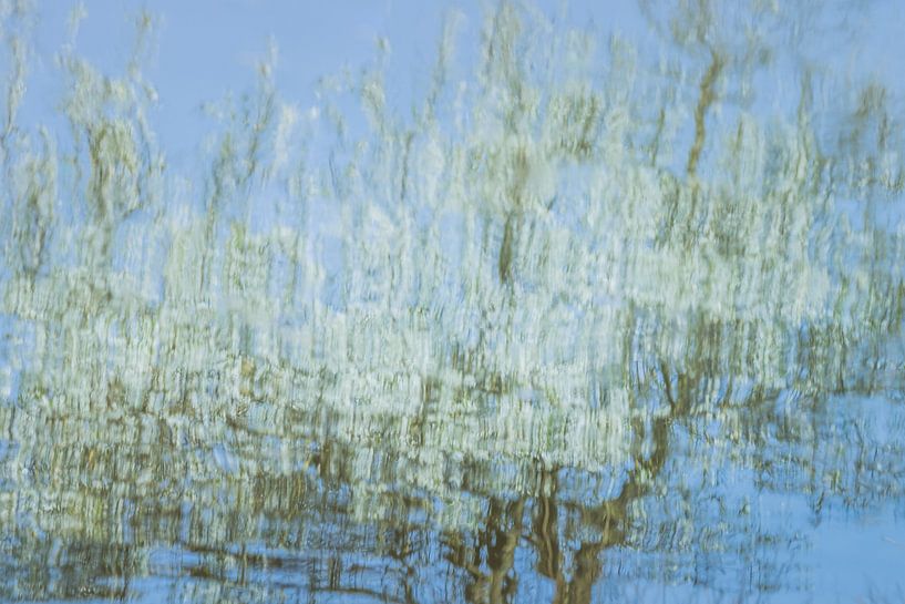 Abstract nature photography - blossom by Martzen Fotografie