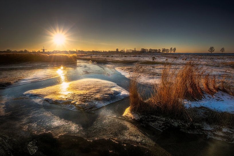 Matin glacé par Kelly Grosemans