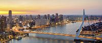 Erasmusbrücke Rotterdam-Panorama