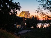 Waal bridge at sunset