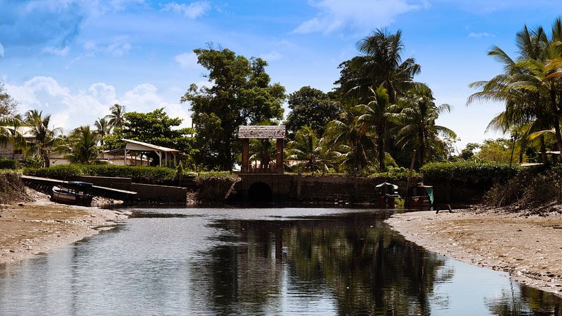 Plantagen-Bakkie in Surinam von René Holtslag