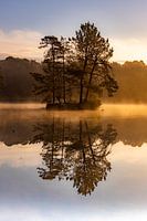 Van Esschenven: een pareltje in Brabant