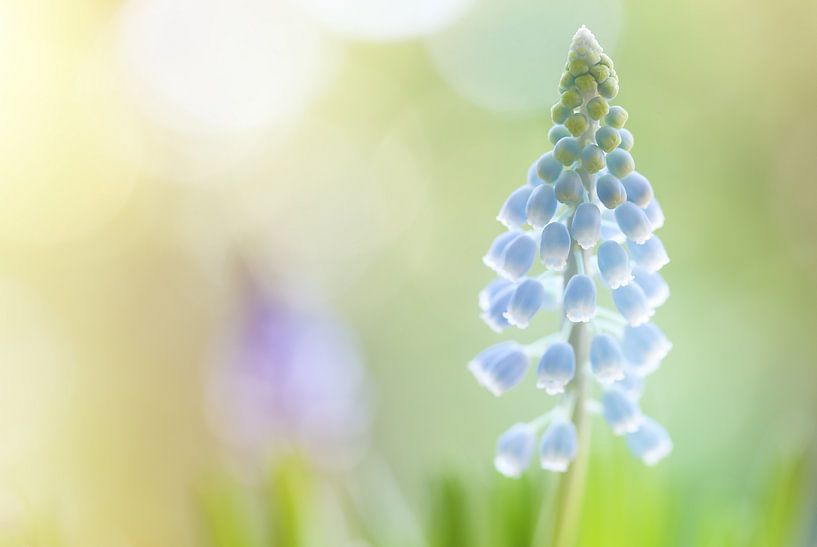 . von LHJB Photography