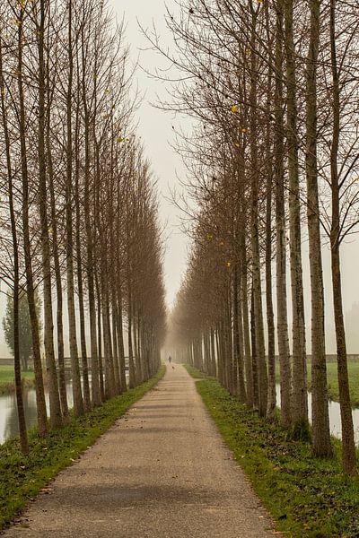 Autumn Landscapes Estate Her Pillars, Utrecht by Roland de Zeeuw
