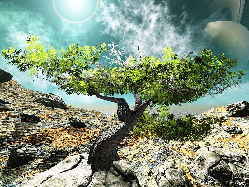 The Last Tree by Eric Nagel