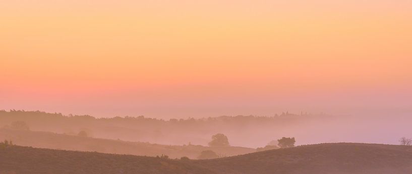 Posbank rose et orange sunrise par Gea Gaetani d'Aragona