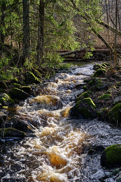 Wildwasser von Geertjan Plooijer