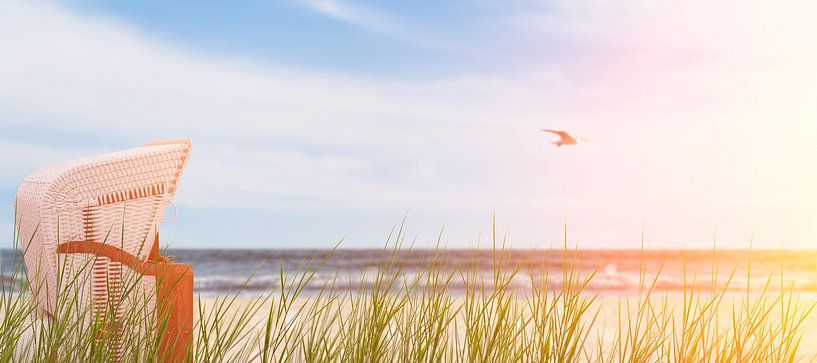 ostsee mit strandkorb von Dörte Bannasch