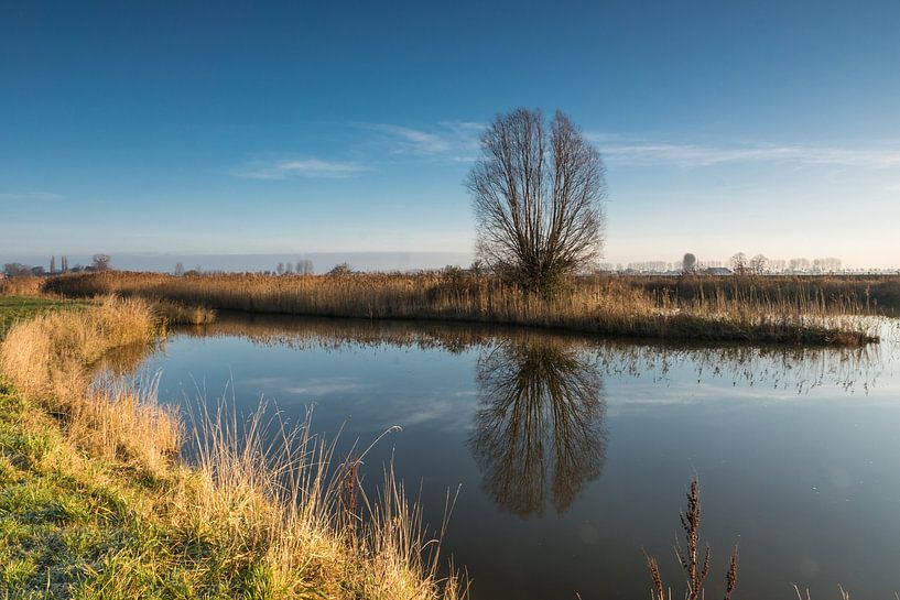 De Gaternissekreek bij Sasput, even na zonsopkomst von Nico de Lezenne Coulander