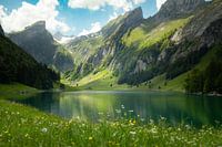 Seealpsee Summer view