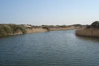 Landscape - The Netherlands 2