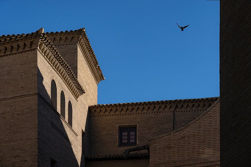 Vogel von Etienne Michel