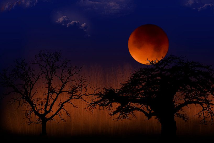 Blood Moon in landscape with trees, Netherlands by Rietje Bulthuis