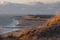 Zoutelande im Goldglanz