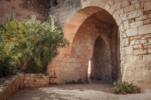 Tor in La Roque-Cageac von Jan van der Knaap