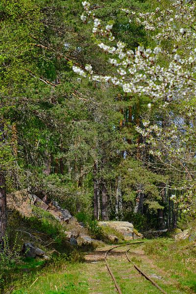 narrow-gauge railways in smaland by Geertjan Plooijer