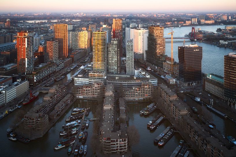 Discover the beauty of Rotterdam in one photo by Roy Poots