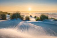 Weißer Strand auf Terschelling.