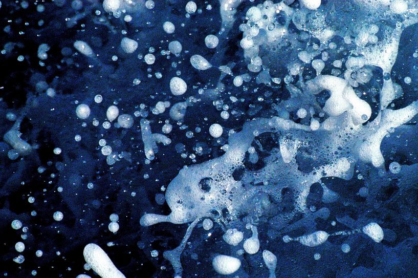 Liquid Butterfly by Fabrizio Gallo