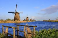Kinderdijk mills