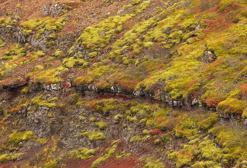 Kerið-Krater Island von Marcel Kerdijk