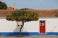 Buntes Haus im Alentejo, Portugal