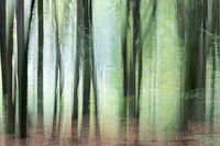 Arbres en mouvement 1