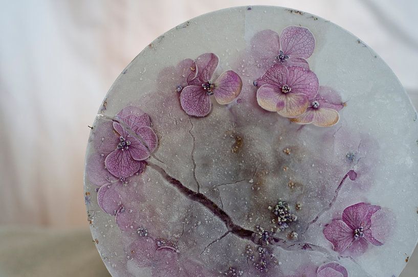 Bevroren Zomer VI von Guido Van den Troost