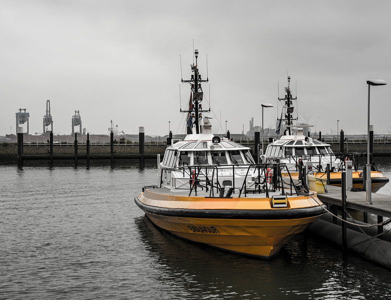 Pilot boat Endeavour in the harbour of Hoek van Holland. by scheepskijkerhavenfotografie