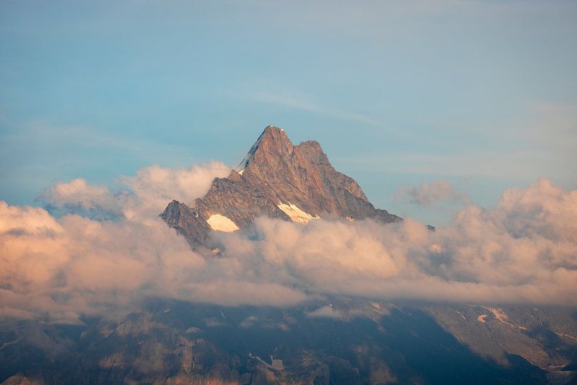 Schreckhorn and Lauteraarhorn during sunset by Reinier Holster