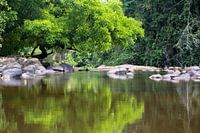 Spiegelbilder im Fluss Sipaliwini in Suriname