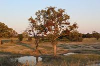 Landschaft Südafrika