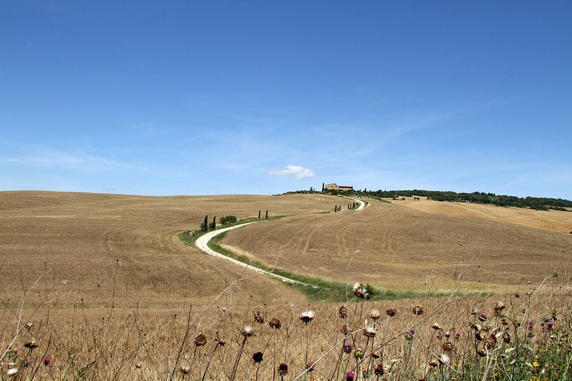 Tuscan landscape by Sander Miedema