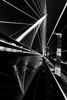 De Harp, le pont de Calatrava à Nieuw Vennep en noir et blanc