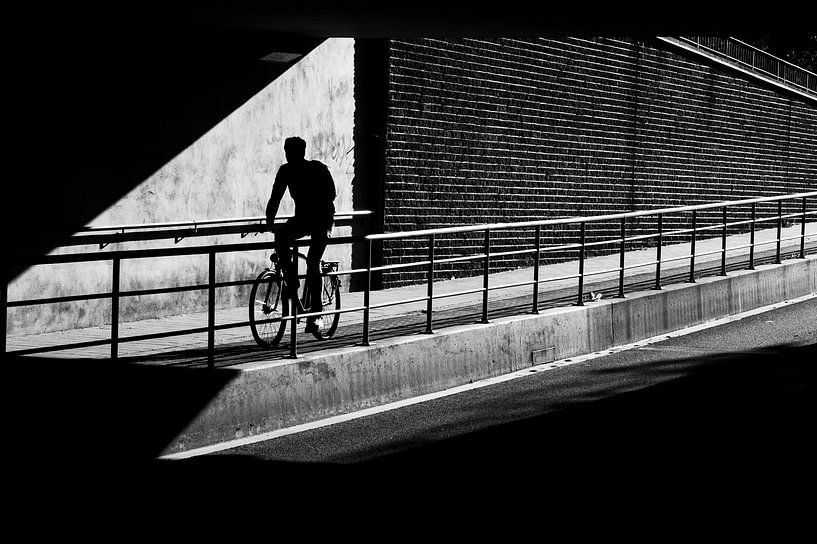 The cyclist by Lieven Tomme
