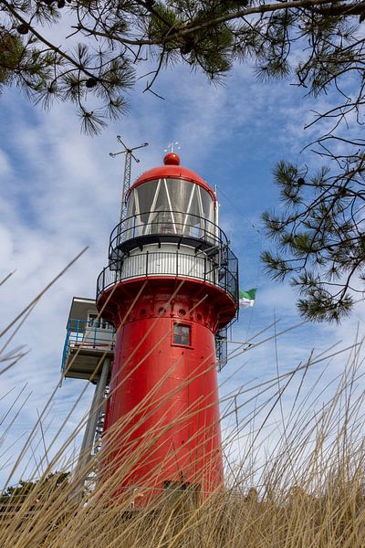 Phare rouge sur Vlieland, avec des herbes au premier plan par Sander Groenendijk