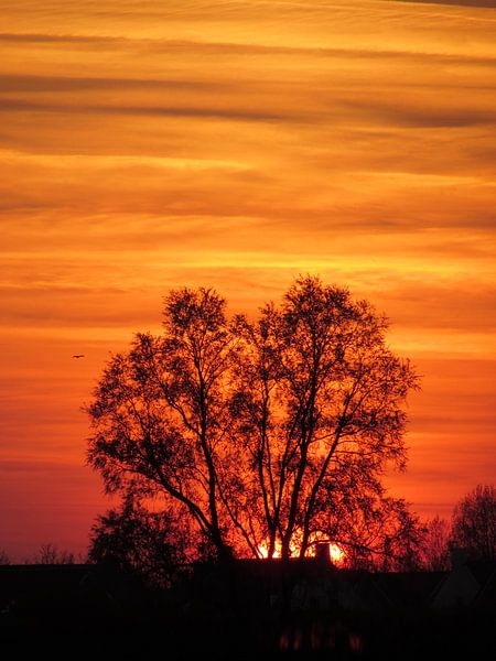 Zonsondergang op het platteland von Pieter Korstanje