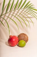 In tropischen Sphären VIII